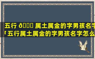 五行 🐅 属土属金的字男孩名字「五行属土属金的字男孩名字怎么取」